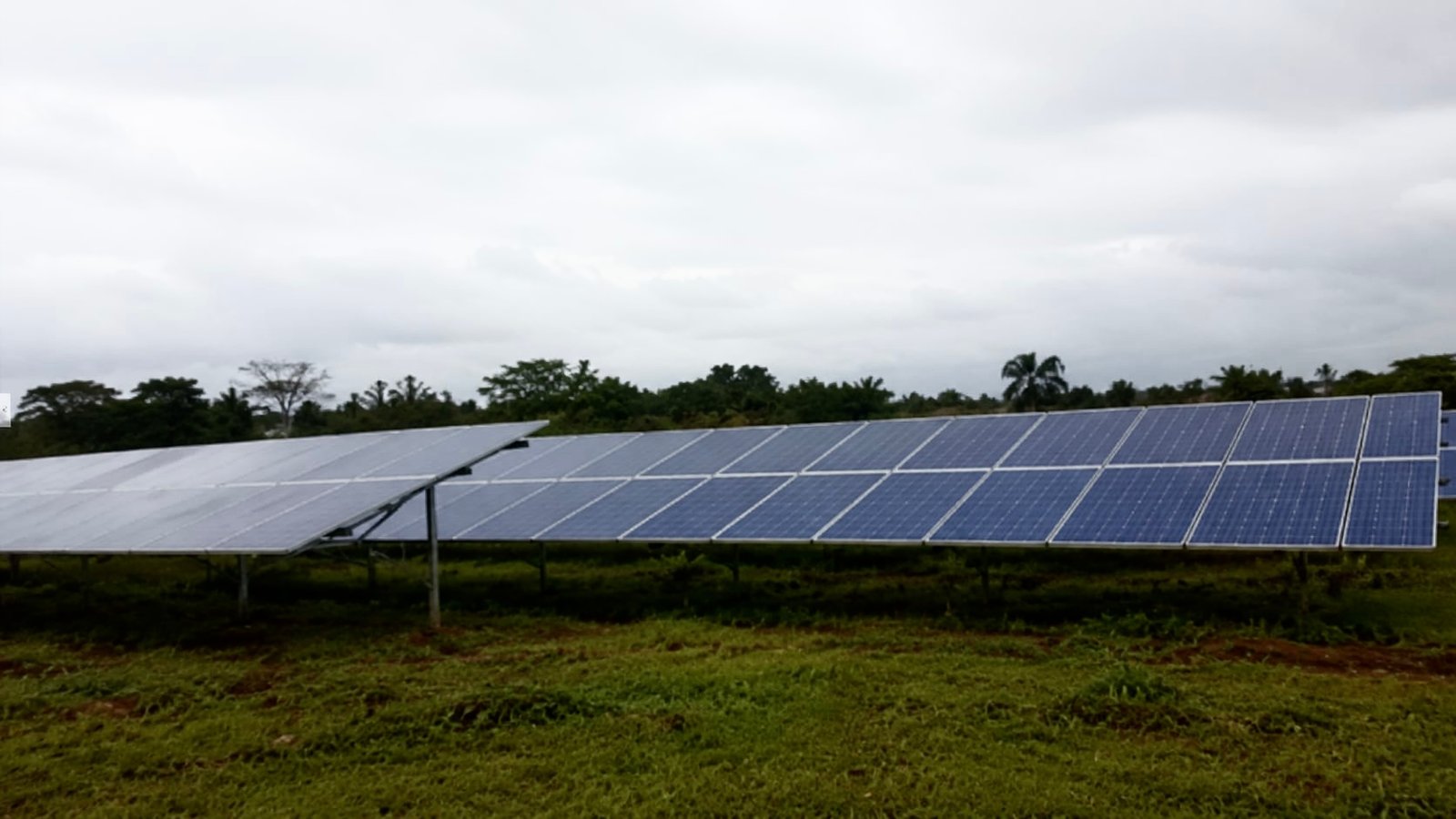 Ground-mounted solar farm spanning an open field under an overcast sky